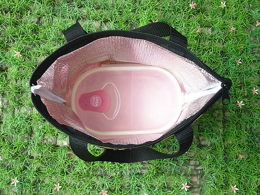 O zíper caçoa capacidade das sacolas do almoço a grande para o piquenique exterior